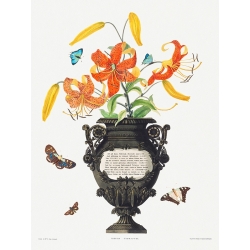 Botanical art print. Edward Bury, A Selection of Hexandrian Plants