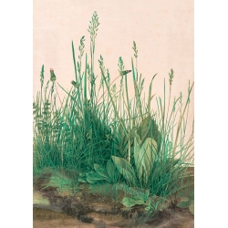 Cuadro, poster y lienzo, Albrecht Durer, Gran mata de hierba