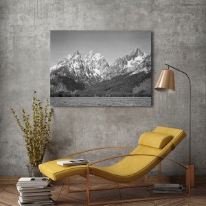 Tableau sur toile, poster Ansel Adams Grassy valley, Grand Teton