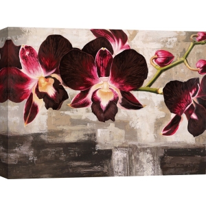 Leinwanddruck mit modernen Blumen. Shin Mills, Velvet Orchids