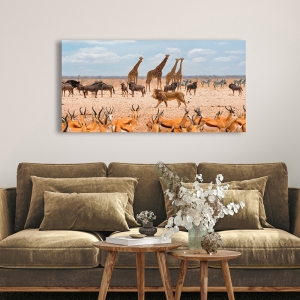 Tableau lion, toile, affiche, Le roi de la savane (Masai Mara)