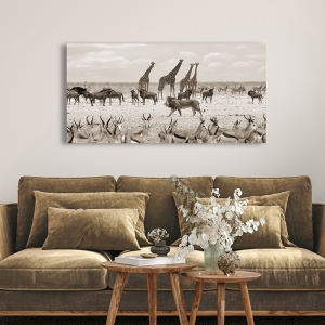 Wall art print, canvas, poster with lion in Masai Mara BW