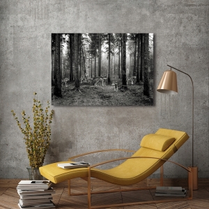 Leinwandbilder und poster, Wölfe im Wald (BW), Pangea Images