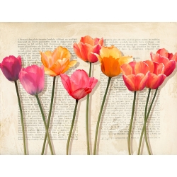 Floral wall art print and canvas. Luca Villa, Vintage Flowers