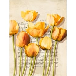 Tableau sur toile, affiche, Luca Villa, Tulipes vintage