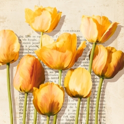 Cuadro flores, lienzo, poster, Luca Villa, Tulipanes vintage (detalle)