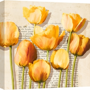 Tableau sur toile, affiche, Luca Villa, Tulipes vintage (détail)