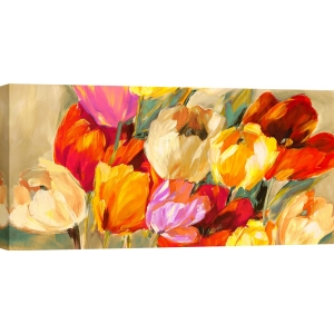 Quadro su tela fiori moderni, poster. Jim Stone, Tulipani colorati