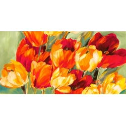 Tableau fleurs, toile, affiche, Jim Stone, Champ de tulipes