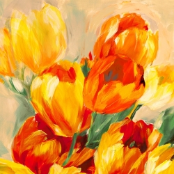 Tableau fleurs, toile, affiche, Jim Stone, Tulipes au soleil I