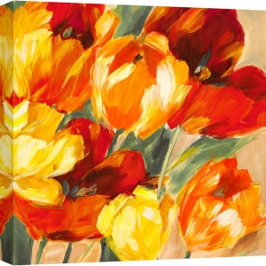 Leinwandbilder, poster, Jim Stone, Tulpen in der Sonne II