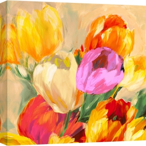 Leinwandbilder, poster, Jim Stone, Bunte Tulpen I