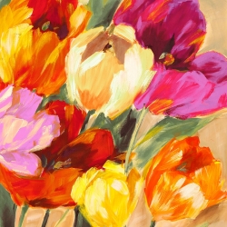 Tableau fleurs, toile, affiche, Jim Stone, Tulipes colorées II