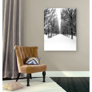 Quadro, stampa su tela. Michel Setboun, Il Parco delle Tuileries a Parigi sotto la neve