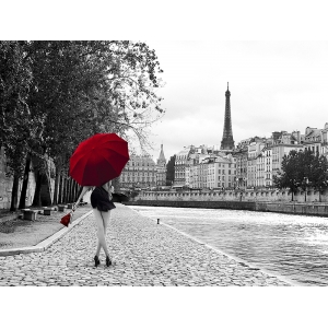 Quadro foto di donna a Parigi, poster. Julian Lauren, Lungo la Senna