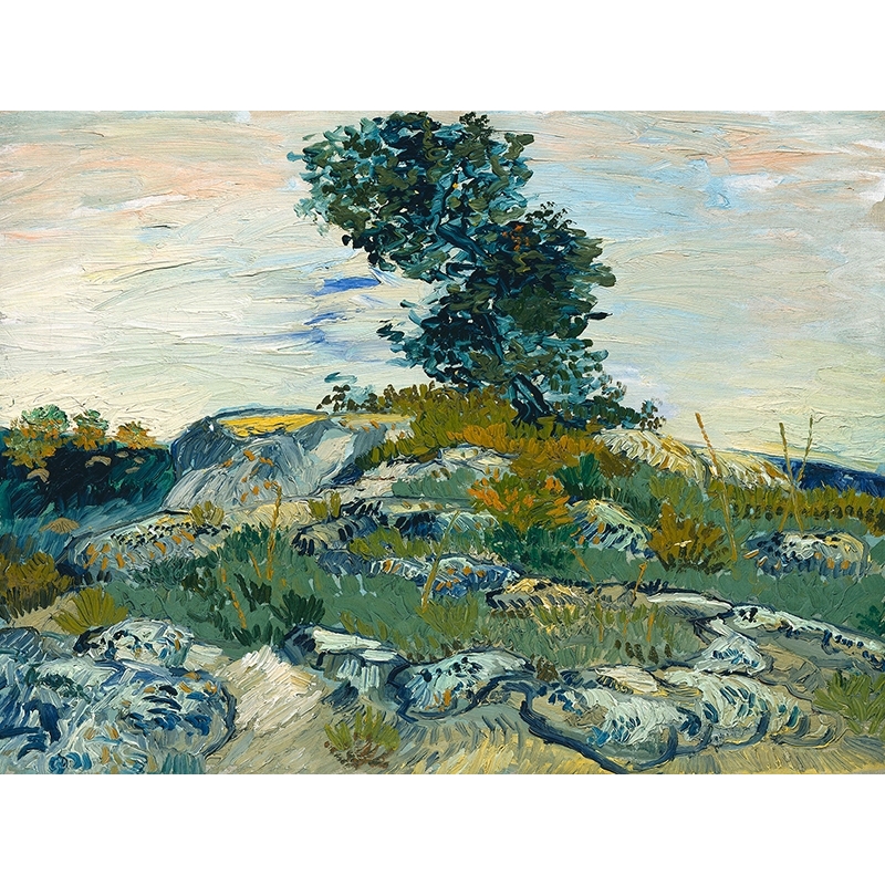 Kunstdruck und Leinwandbilder Vincent Van Gogh, Die Felsen