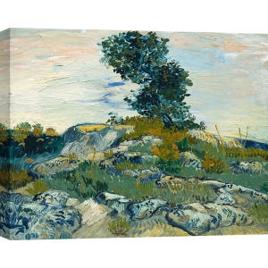 Wall art print, canvas, poster Vincent van Gogh, The Rocks