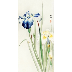 Quadro, stampa giapponese con fiori, Ohara Koson, Iris