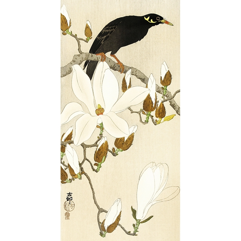 Quadro giapponese con uccellini, Ohara Koson, Storno su magnolia