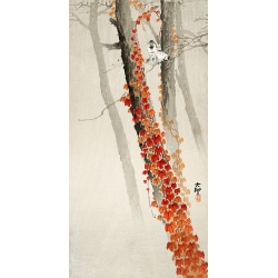Cuadro japonés en lienzo, poster Ohara Koson, Hiedra roja