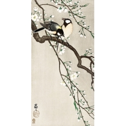 Japanische Kunst Ohara Koson, Meisen auf Kirschbaumzweig