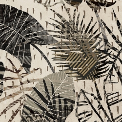Quadro moderno con foglie di palma. Eve C. Grant, Palme in grigio I