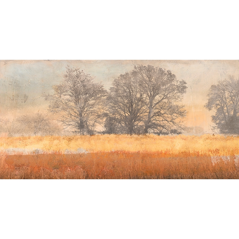 Cuadro moderno en lienzo y poster, A. Aprile, Árboles en la niebla