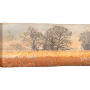 Cuadro moderno en lienzo y poster, A. Aprile, Árboles en la niebla