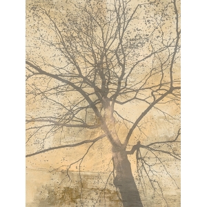 Tree art print, canvas, poster, Alessio Aprile, Below My Tree I