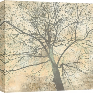 Tree art print, canvas, poster, Alessio Aprile, Below My Tree II det