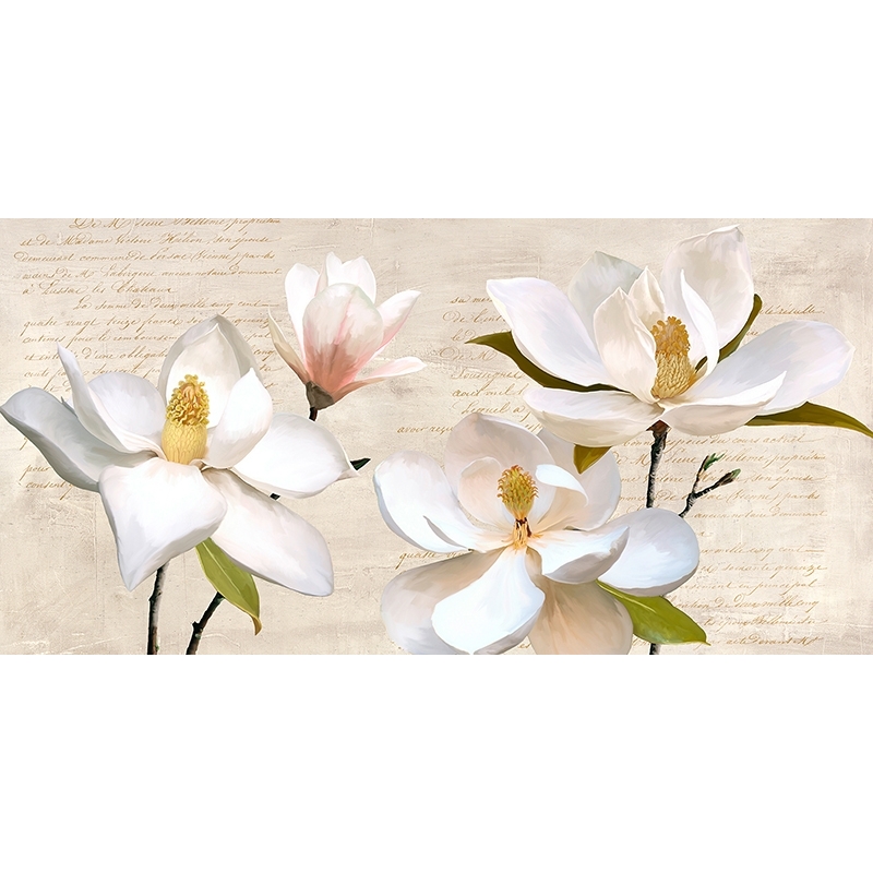 Quadro su tela con fiori, Luca Villa, Ivory Magnolia