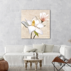 Tableau sur toile, affiche, Magnolia ivoire I de Luca Villa