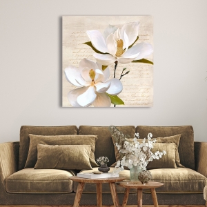 Cuadro en lienzo y lámina enmarcada, Ivory Magnolia II, Luca Villa