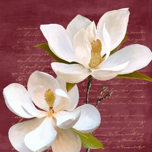 Kunstdruck, Leinwandbilder, Burgundy Magnolia II von Luca Villa