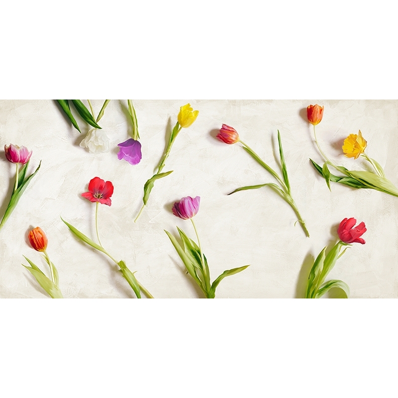 Quadro su tela con fiori moderni, Teo Rizzardi, Cut Tulips
