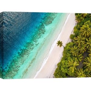 Wall art print and canvas, Tropical Beach, Aerial View