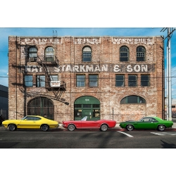 Tableau voitures, Suburban Landscape with muscle cars