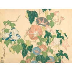 Japanischer Kunstdruck, Hokusai, Morgenblumen und Laubfrosch