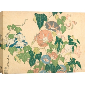 Japanese print by Hokusai, Morning Glories and Tree Frog