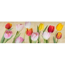 Cuadro tulipanes en lienzo y lámina, Tulpa Nova de Luca Villa
