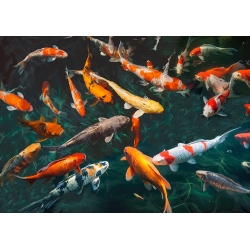 Kunstdruck, Leinwandbilder, See mit Koi-Fischen von Teo Rizzardi