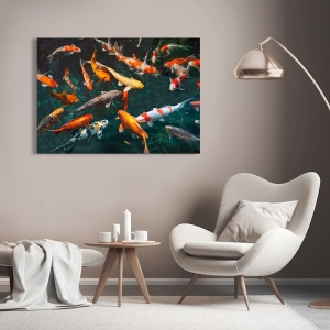 Art print and canvas, Pond with Koi-Fish by Teo Rizzardi