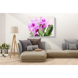 Wall art print and canvas. Sergio Jannace, Wild Orchids